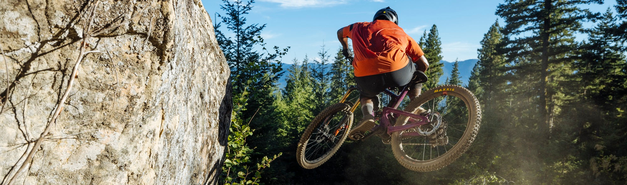 Santa Cruz Mountainbike