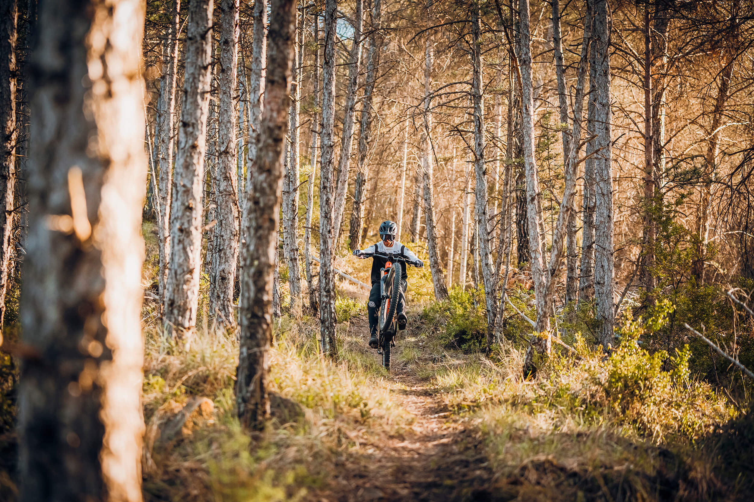 Mondraker E-MTB Hardtail