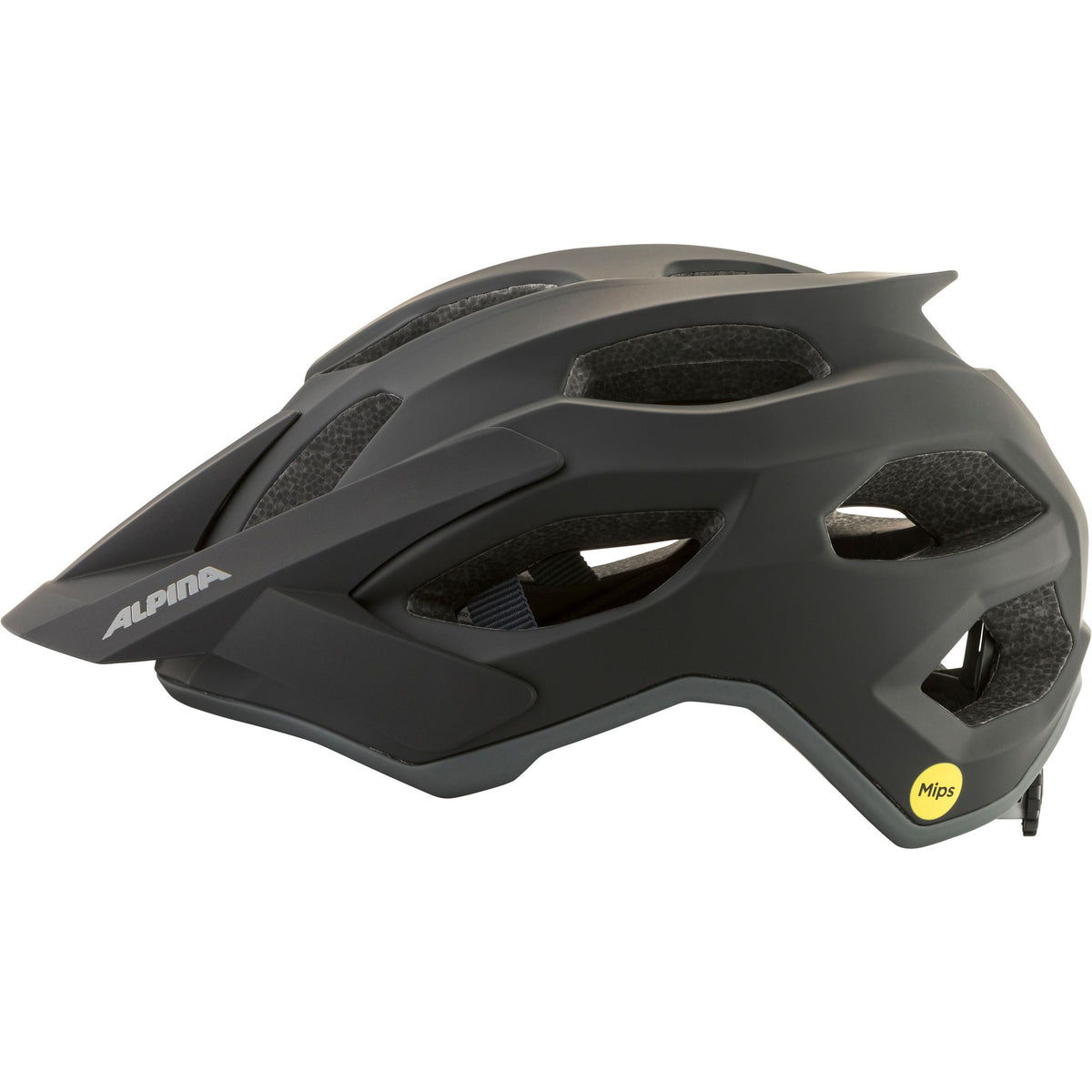 Alpina Apax Mips - Liquid-Life #Wähle Deine Farbe_black matt