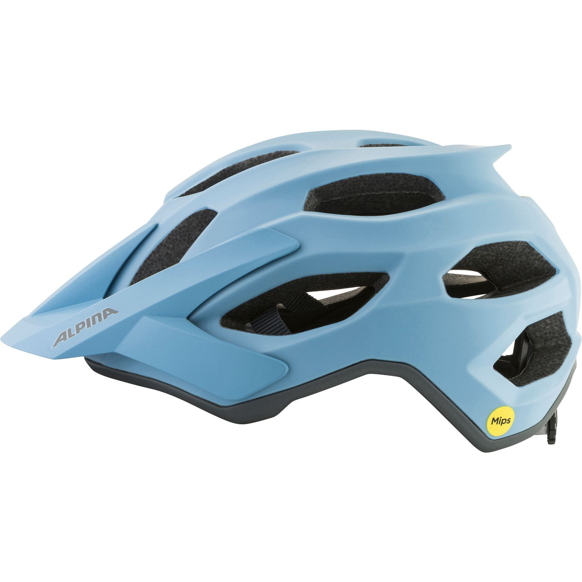 Alpina Apax Mips - Liquid-Life #Wähle Deine Farbe_smoke-blue matt