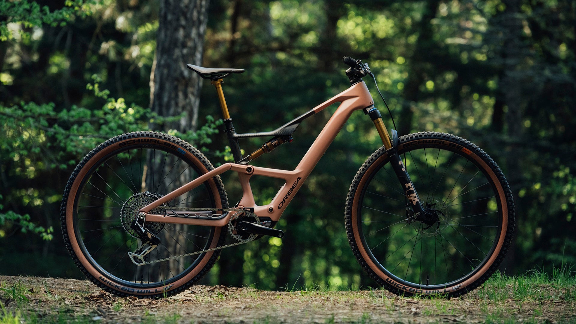 Orbea Rise E-Mountainbike in rosa, ideal für Offroad-Abenteuer im Wald.