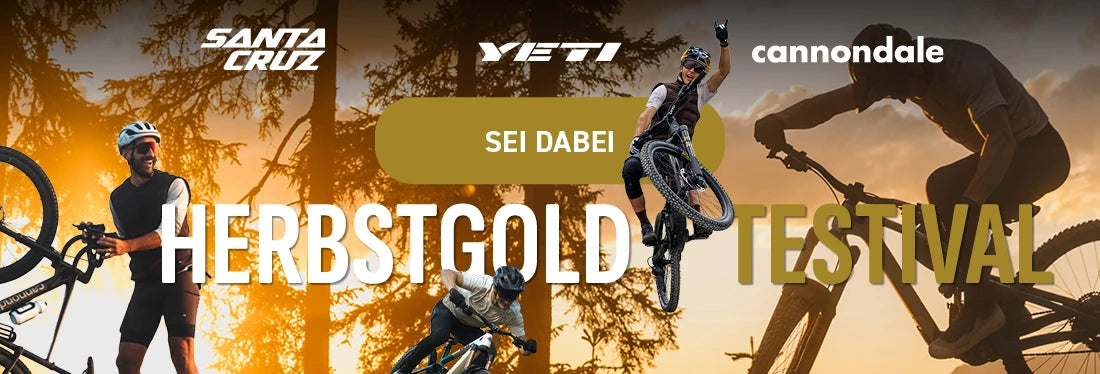 Herbstgold Testival Santa Cruz Yeti Cannondale testen