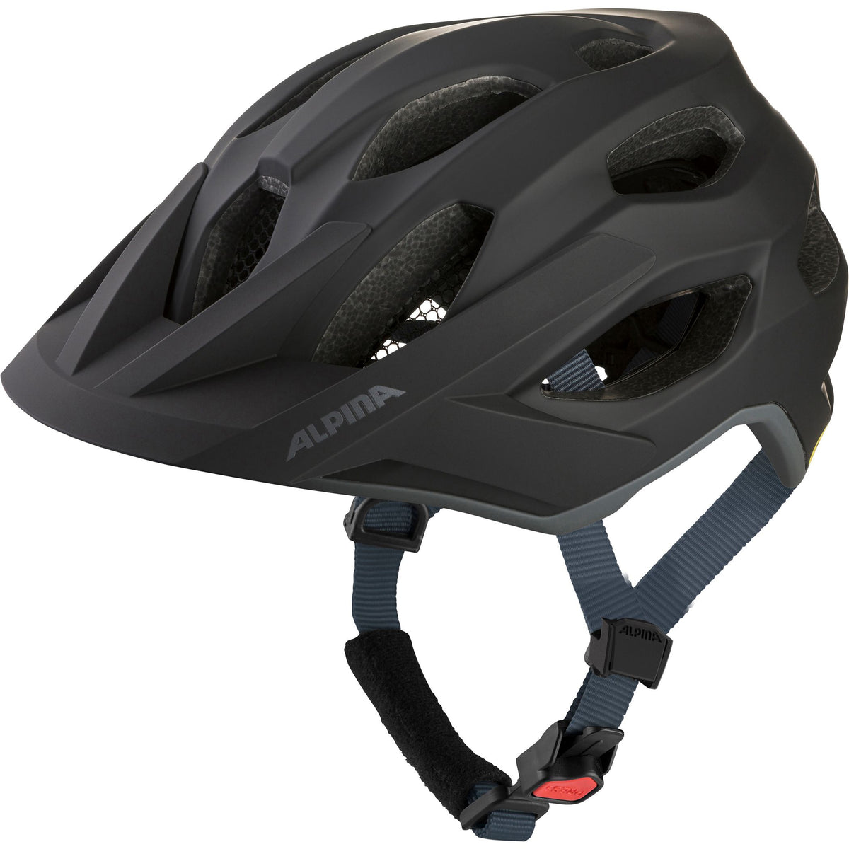 Alpina Apax Mips - Liquid-Life #Wähle Deine Farbe_black matt