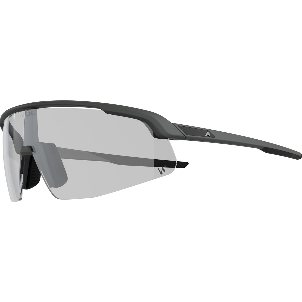 Alpina Turbo Pro V - Liquid-Life #Wähle Deine Farbe_grey matt/clear grey/blue