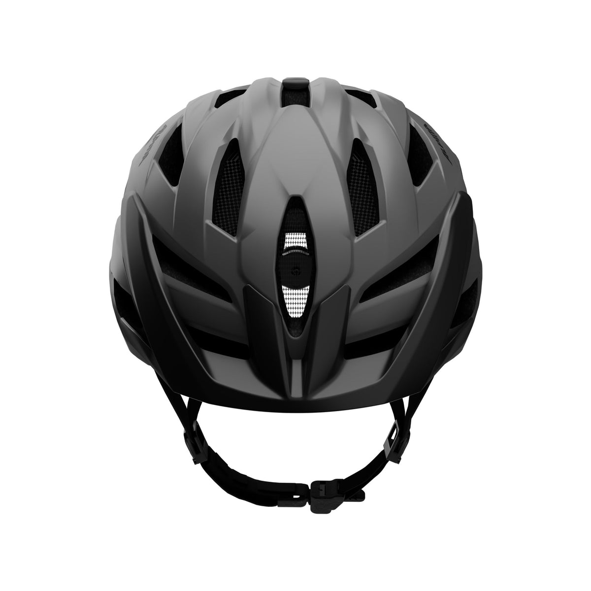 Alpina Panoma 4 - Liquid-Life #Wähle Deine Farbe_midnight grey matt