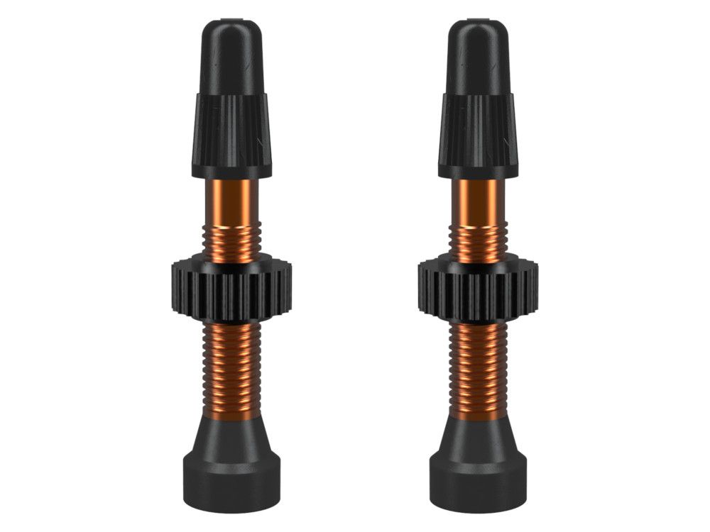 WTB Ventil Presta Aluminium orange