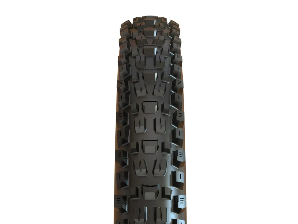 Maxxis Assegai 3C MaxxTerra TR EXO+