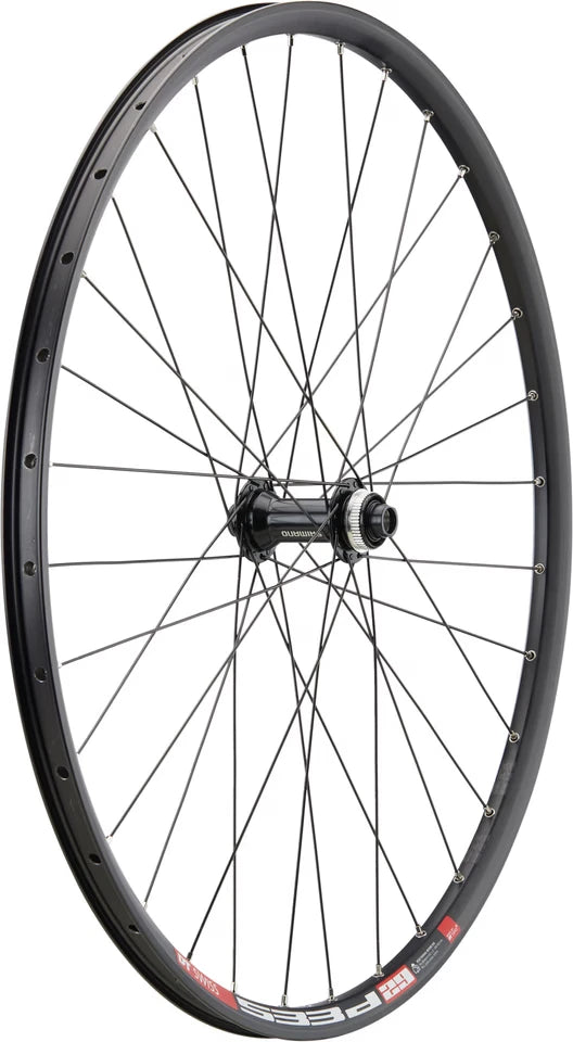 DT SWISS Vorderrad 29" 533D Disc | 622 x 22 | Center Lock - Liquid-Life #Wähle Deine Farbe_Black