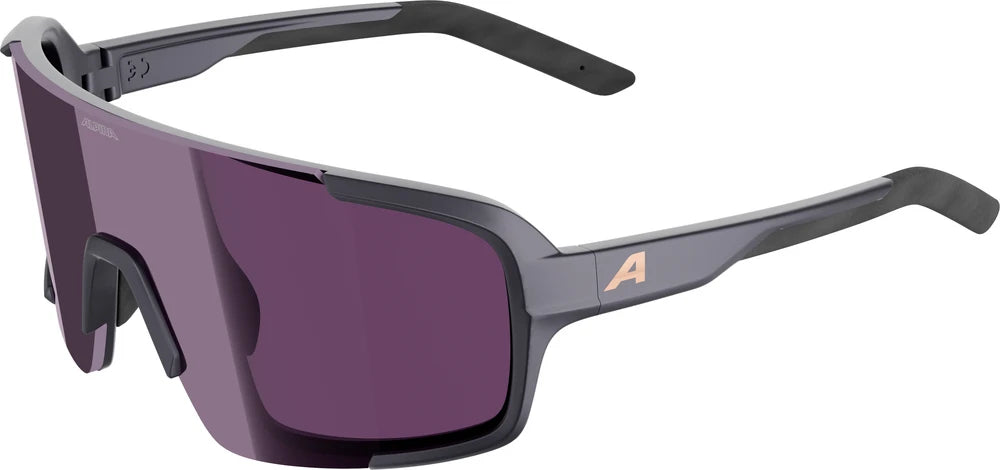 Alpina Lumin - Liquid-Life #Wähle Deine Farbe_gun/metal