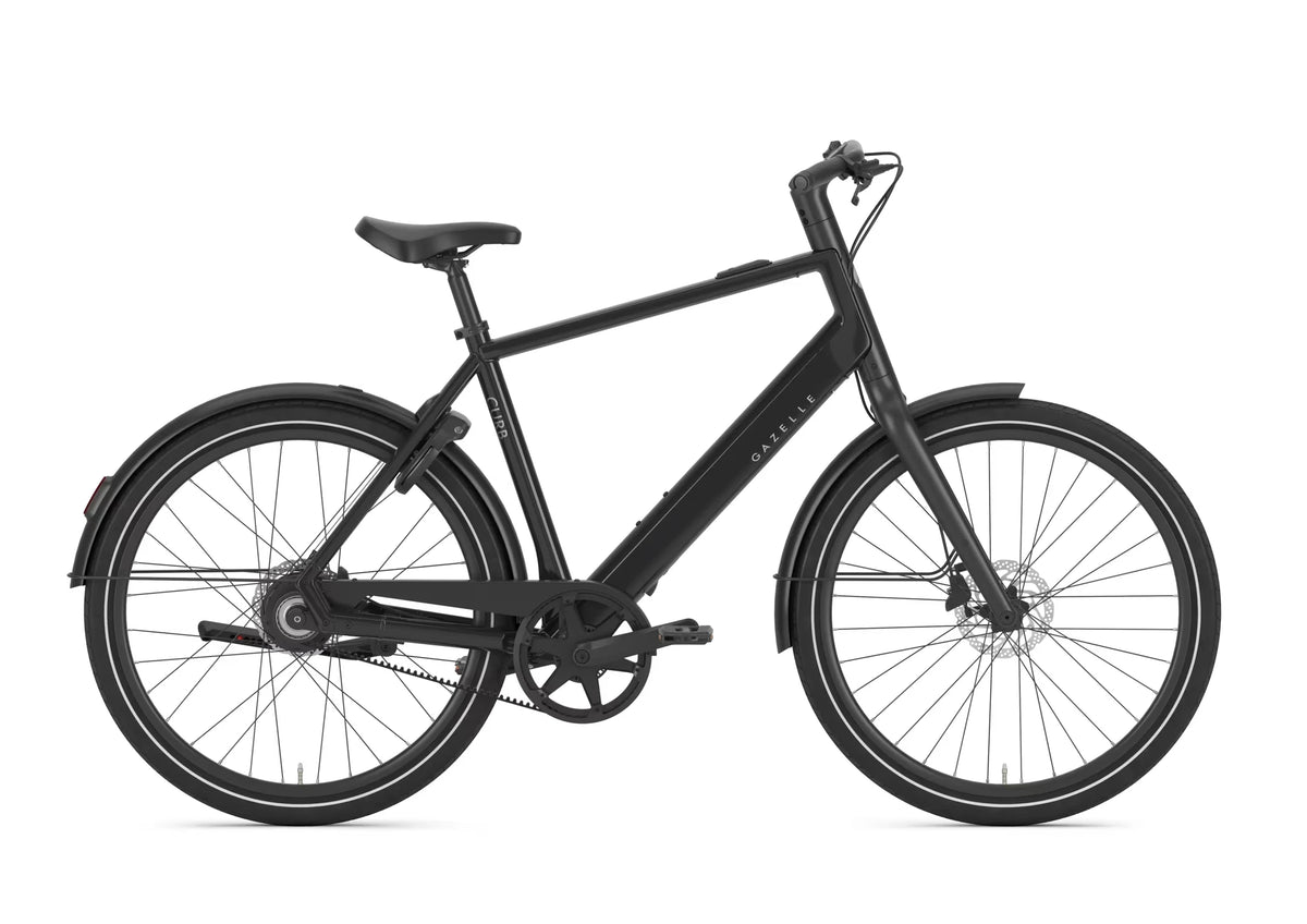Gazelle Curb C1 360 Wh black 2027