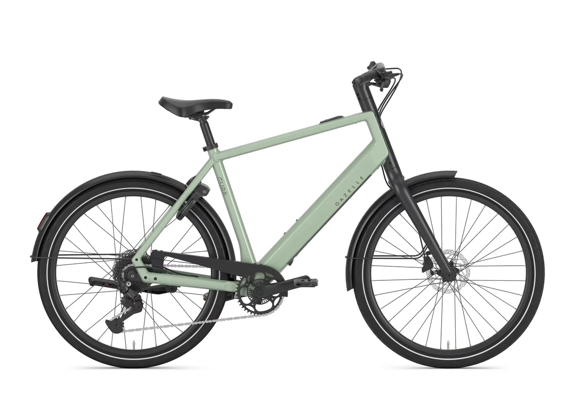 Gazelle Curb T9 360 Wh pistache green 2027