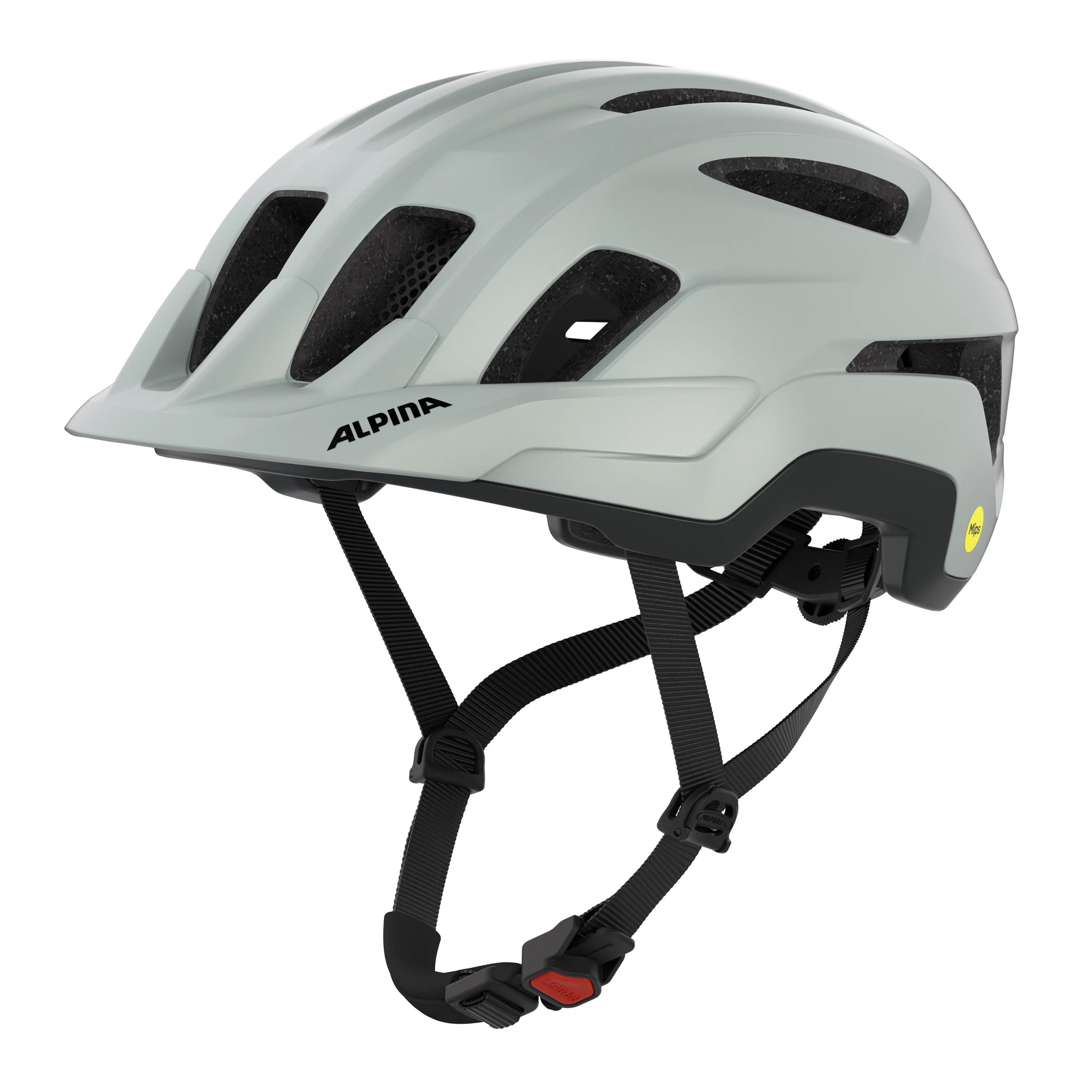 Alpina Paranus Mips - Liquid-Life #Wähle Deine Farbe_smoke-grey midnight-grey matt