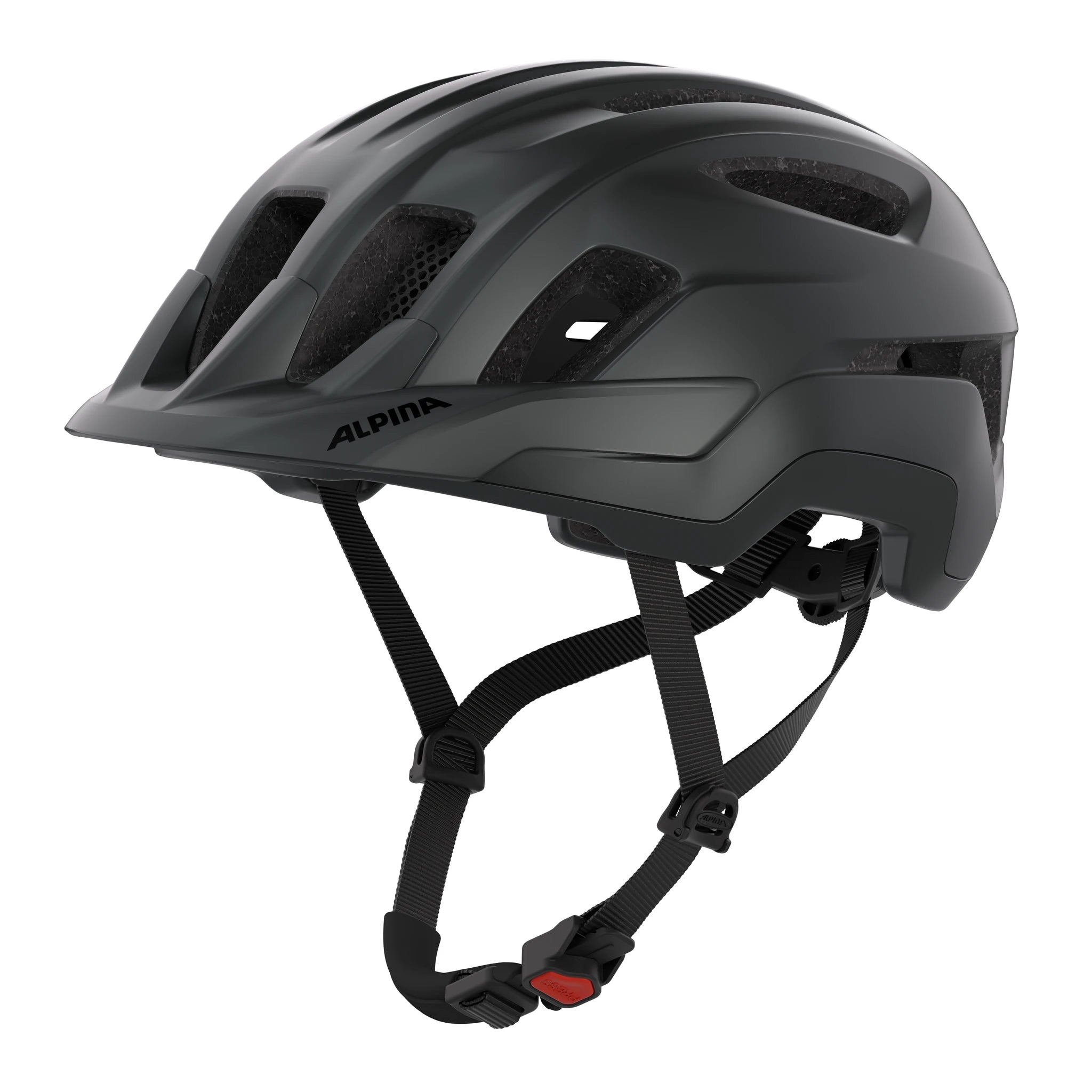 Alpina Paranus - Liquid-Life #Wähle Deine Farbe_black matt
