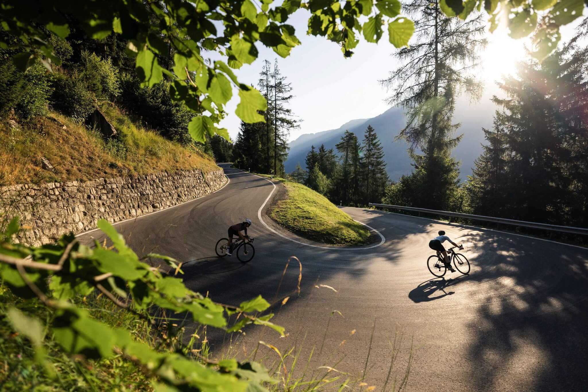 Zwei Radfahrer neigen sich in einer Bergkurve, umgeben von Bäumen und Sonnenschein.