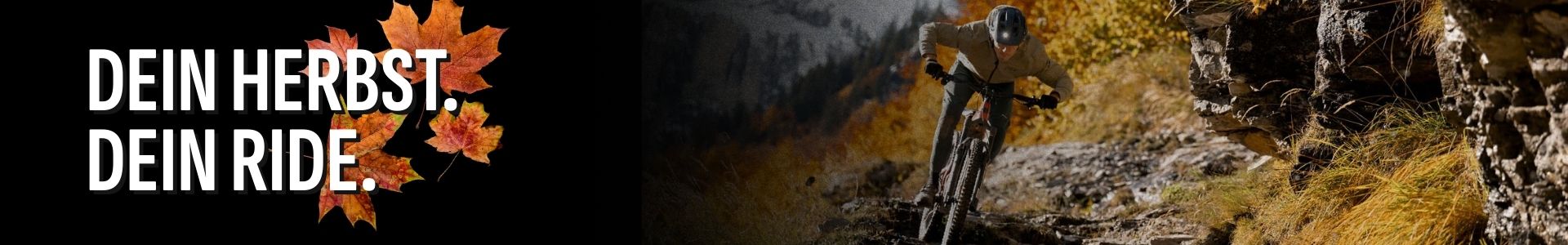 Dein Herbst dein Ride - Liquid Life Werbekampagnenbanner zum Herbst.