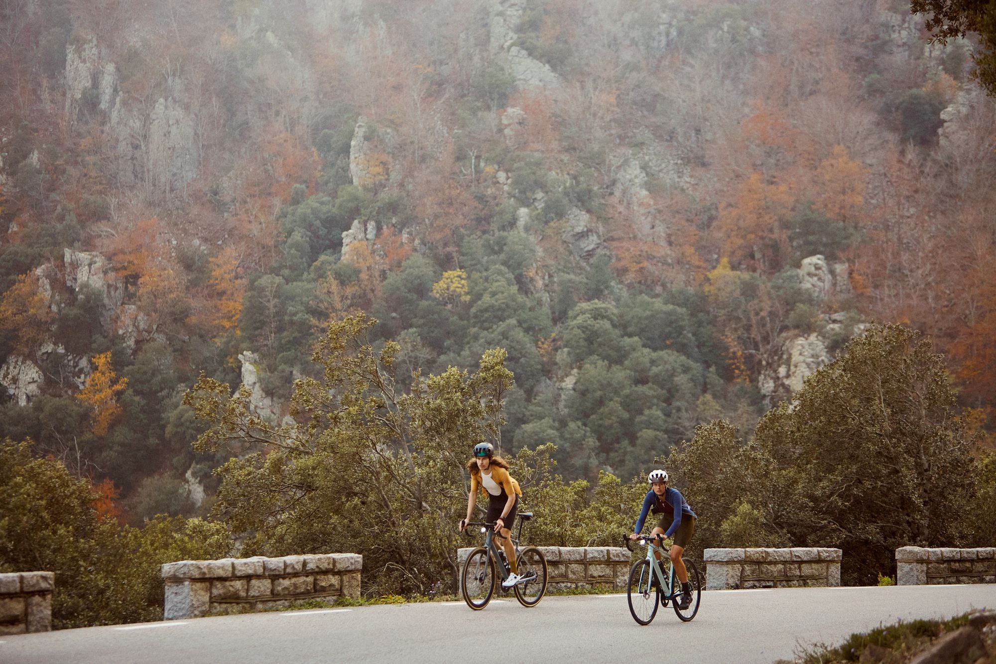 Zwei Personen fahren Cannondale Rennräder auf einer Bergstraße durch herbstliche Landschaft.