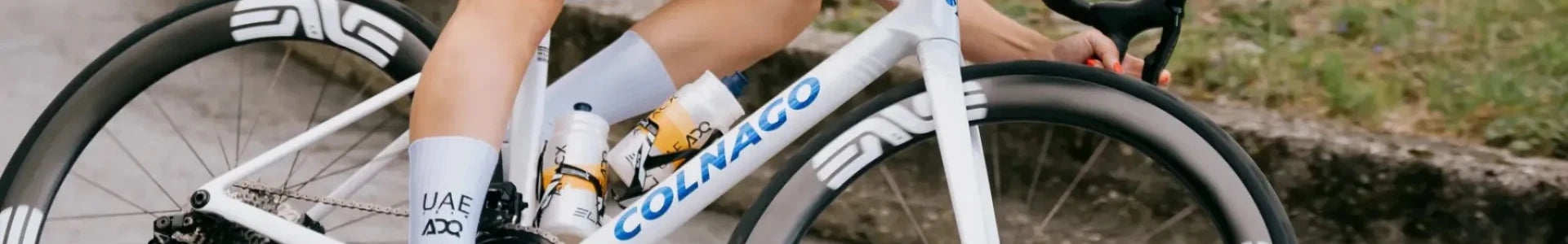 Colnago Rennräder kaufen und Beratung bei Liquid-Life.de