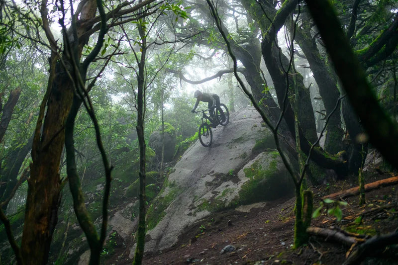 Mountainbiker auf Cube Fully auf steilem Felsen im dichten Wald bei Nebel. Ideal für Offroad-Abenteuer.