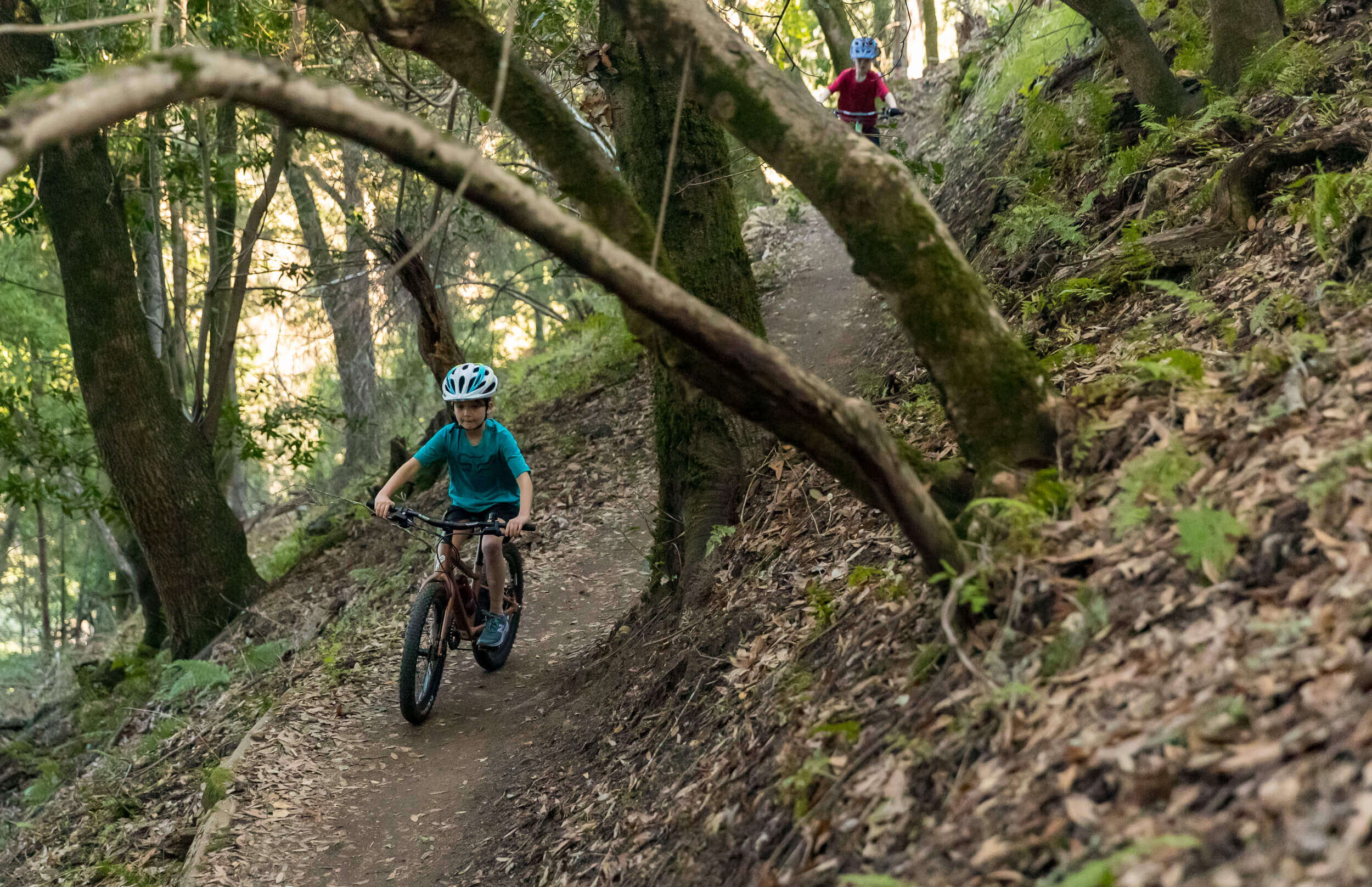 Kinder fahren auf Mountainbikes durch einen Waldpfad, beide tragen Helme. Ideal für abenteuerlustige Kids.