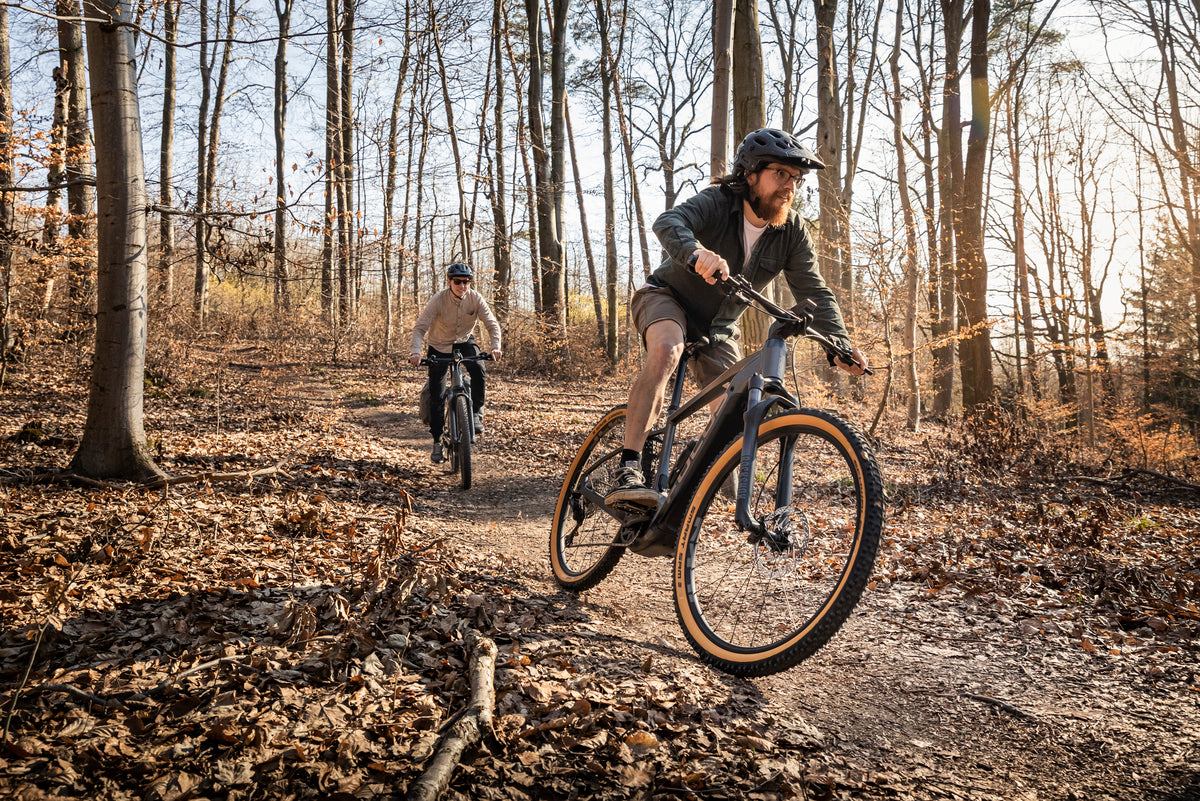 Zwei Personen fahren mit Focus E-Mountainbikes im Wald auf einem sonnigen Pfad.