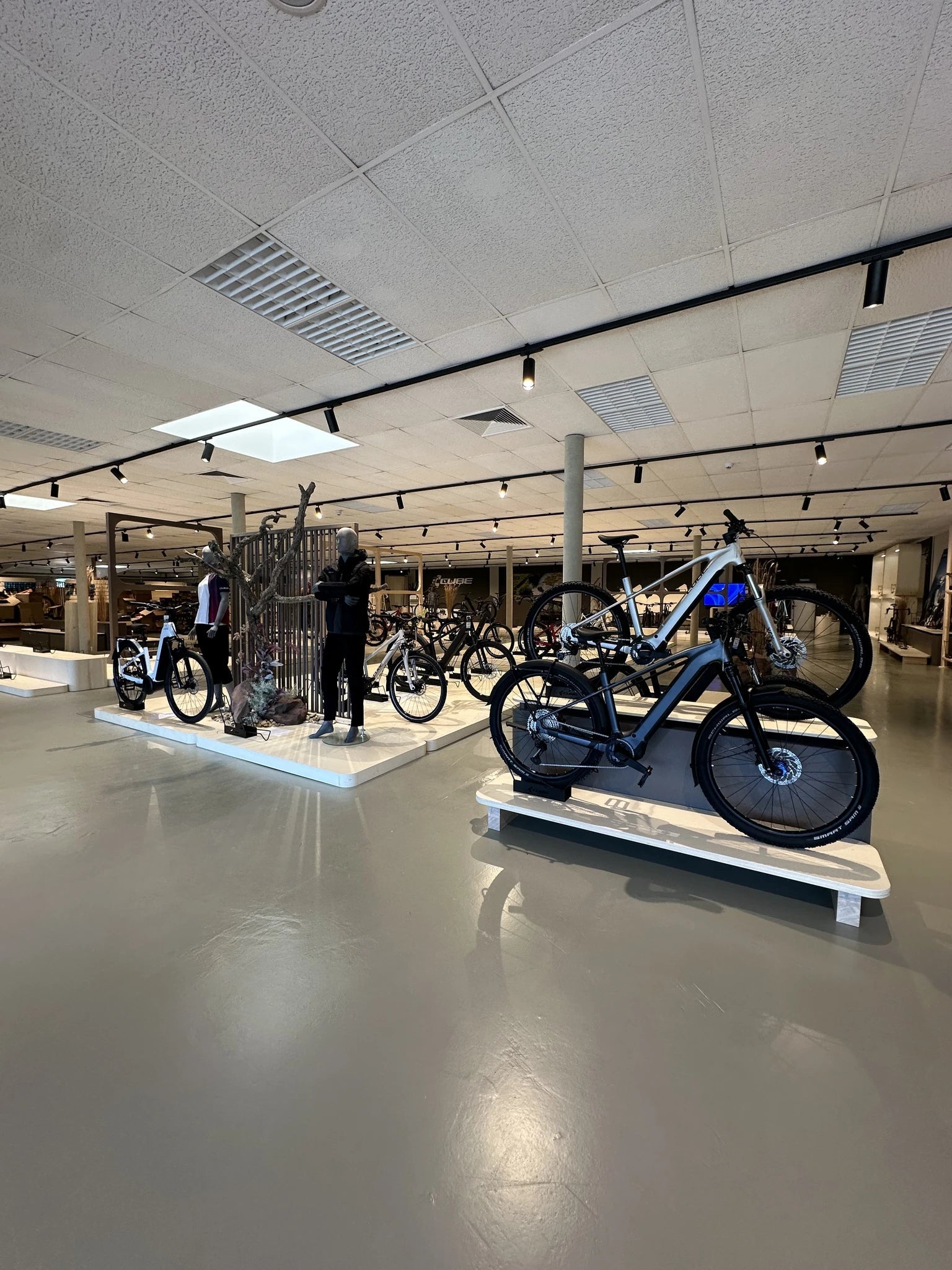 Fahrradgeschäft-Showroom mit diversen hochwertigen Fahrrädern auf Podesten, geeignet für sportliche Radfahrer.