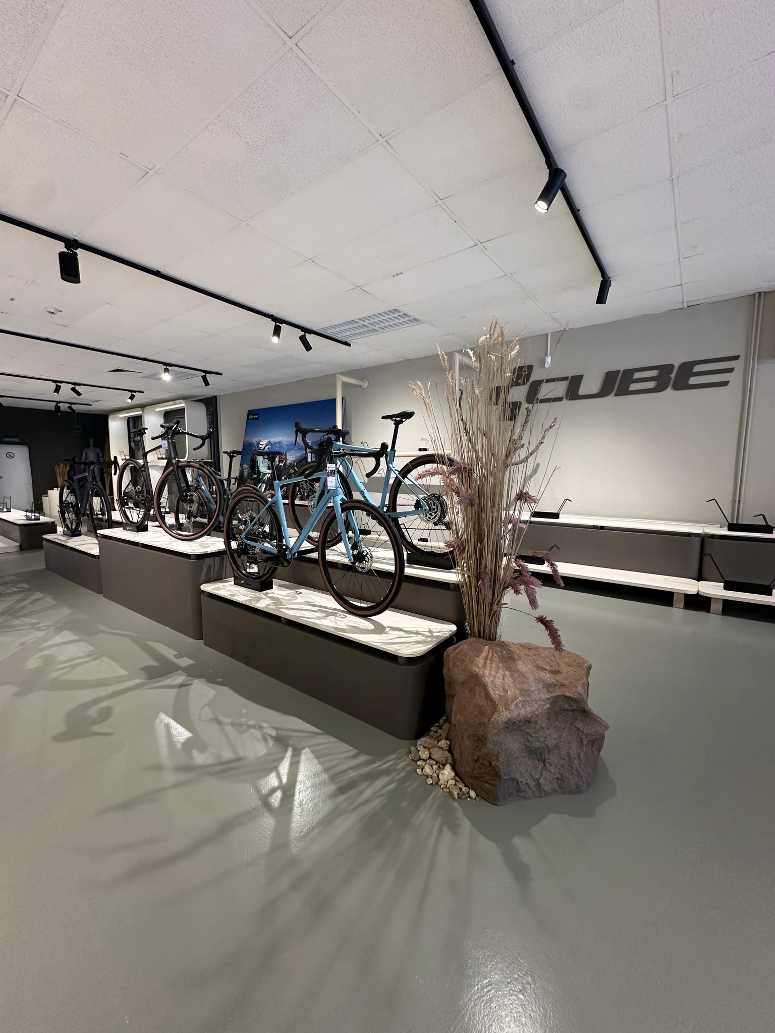 Fahrradgeschäft mit mehreren Mountainbikes von Cube auf Podesten, modernes Design, geeignet für Radbegeisterte.