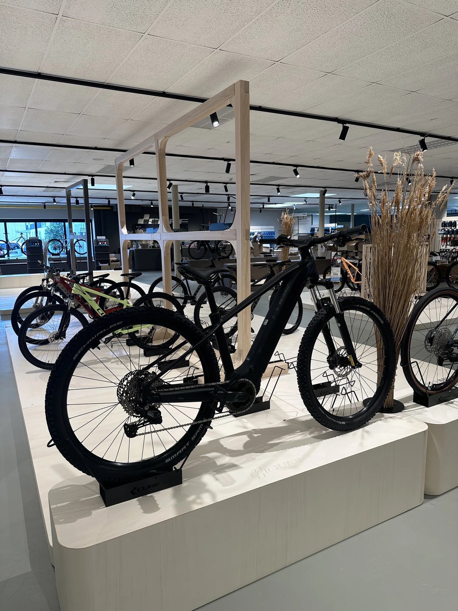 Schwarzes E-Bike auf Podest in modernem Fahrradgeschäft, umgeben von weiteren Modellen, geeignet für sportliche Radfahrer.