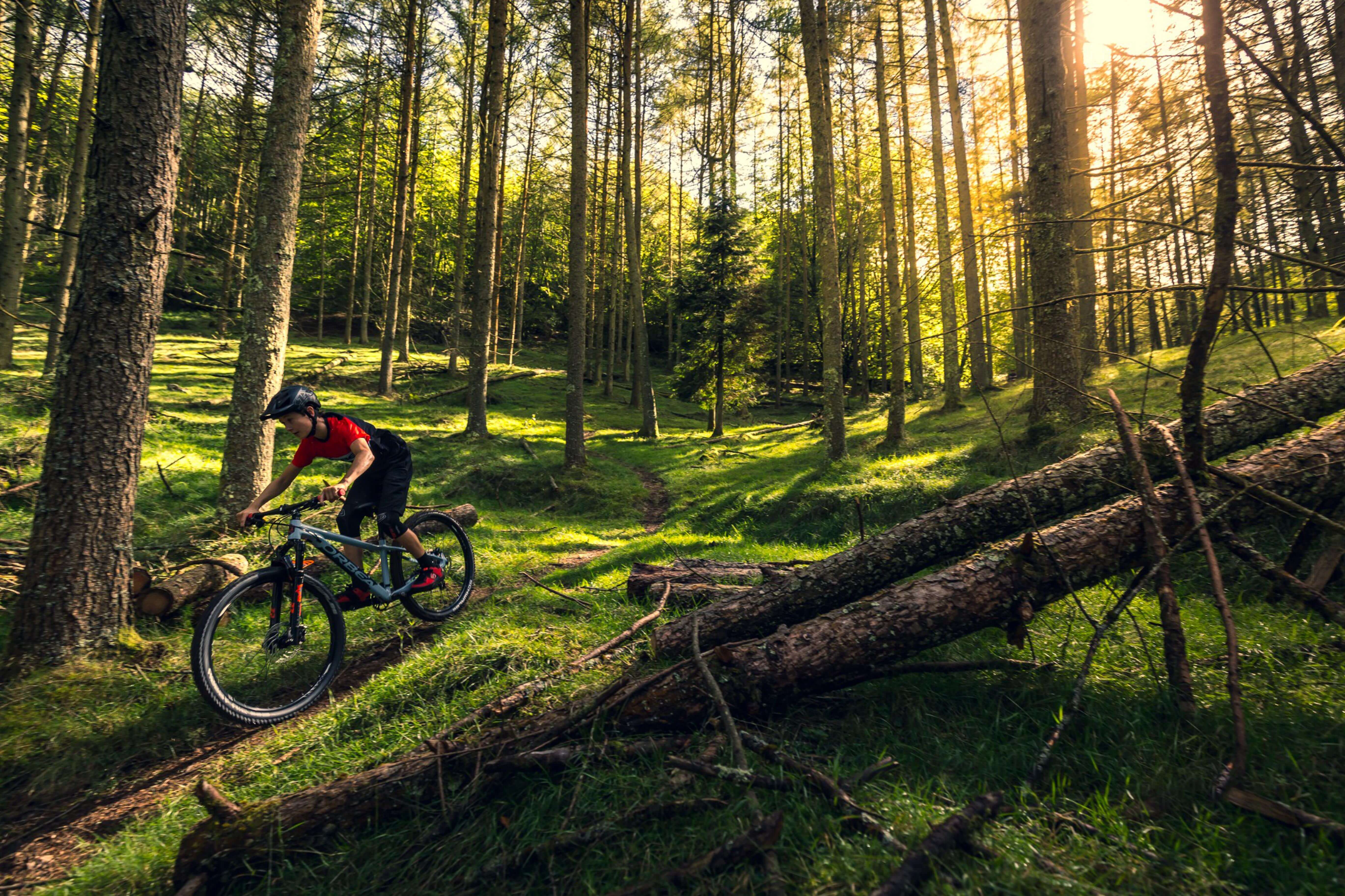 Mountainbike-Fahrer auf Orbea Hardtail im Wald, ideal für Offroad-Abenteuer und sportliche Radtouren.