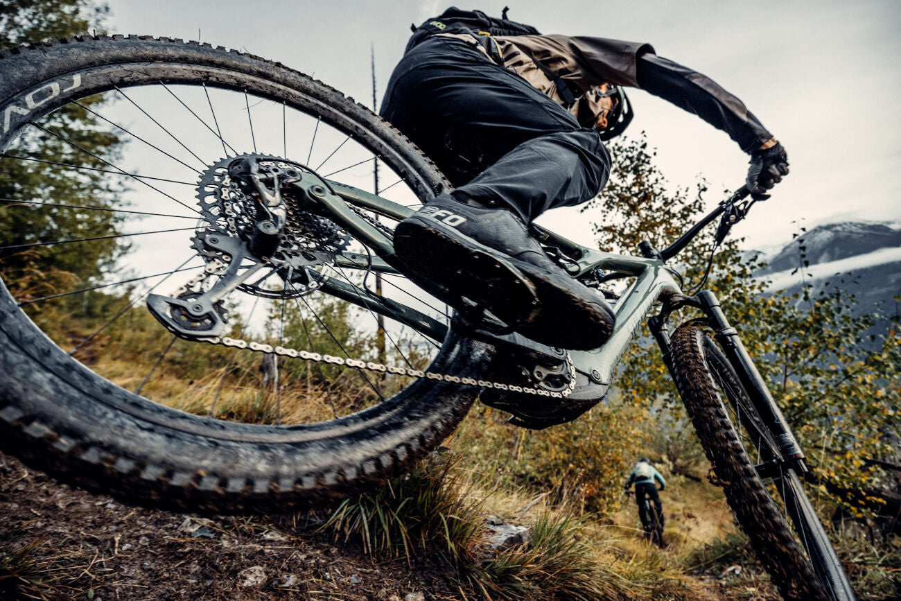 E-Mountainbike in Action auf steilem Waldpfad, geeignet für Offroad-Abenteuer.