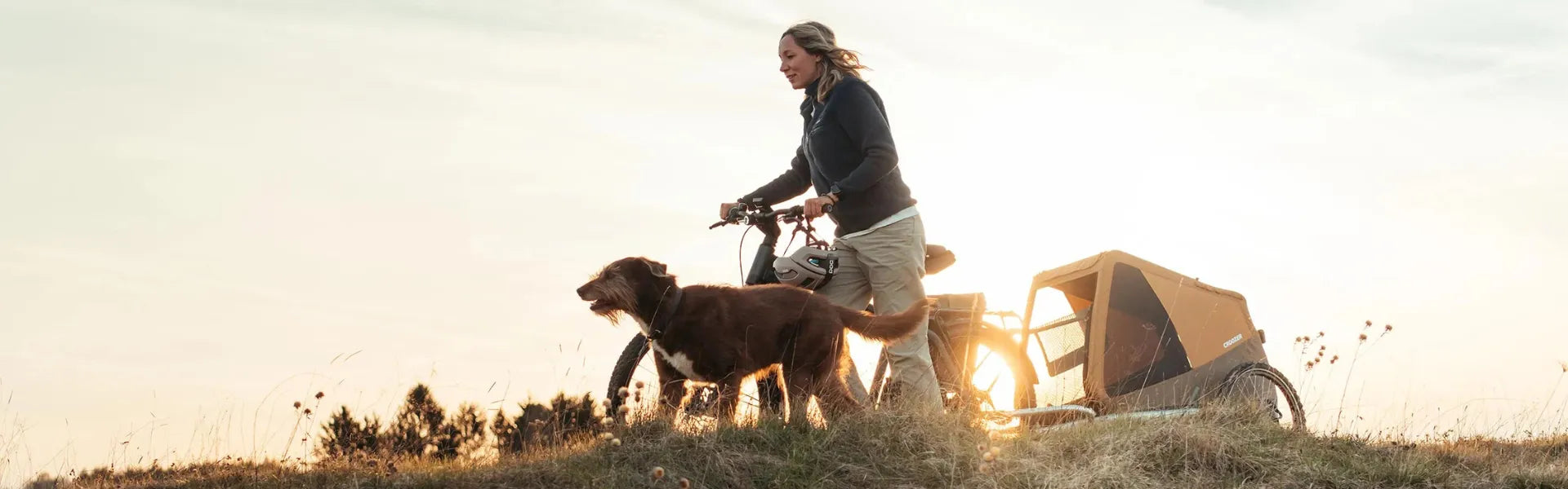 Frau schiebt Fahrrad mit Hundeanhänger der Marke Croozer über eine Wiese, begleitet von einem braunen Hund.