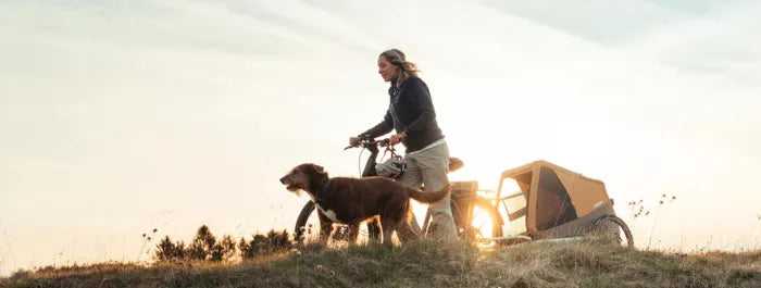 Frau schiebt Fahrrad mit Croozer Hundeanhänger über Wiese, begleitet von Hund. Sonnenuntergang im Hintergrund.