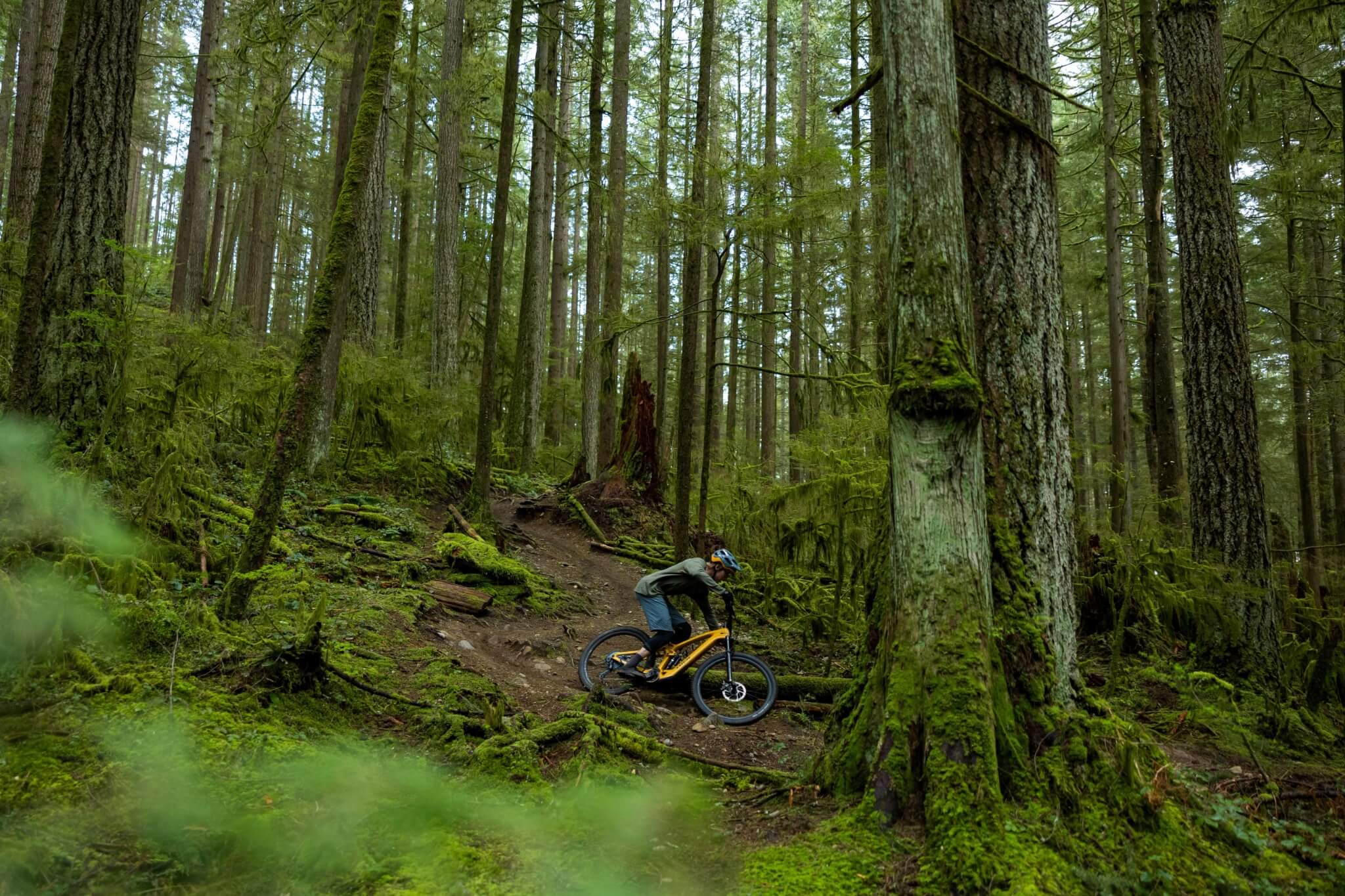 Mountainbiker fährt ein Trek Fuel EXE E-Bike durch einen bewaldeten Pfad in einem dichten Wald.