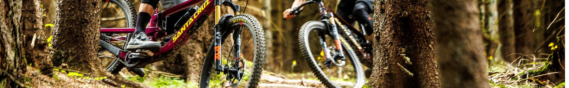 Santa Cruz Bronson Beratung und kaufen bei Liquid-Life.de