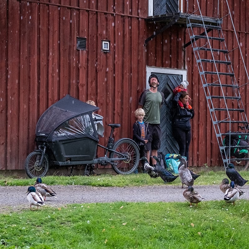 Ein CUBE Cargo Hybrid Lastenrad steht vor einem roten Holzhaus, umgeben von einer Familie und Enten im Regen.