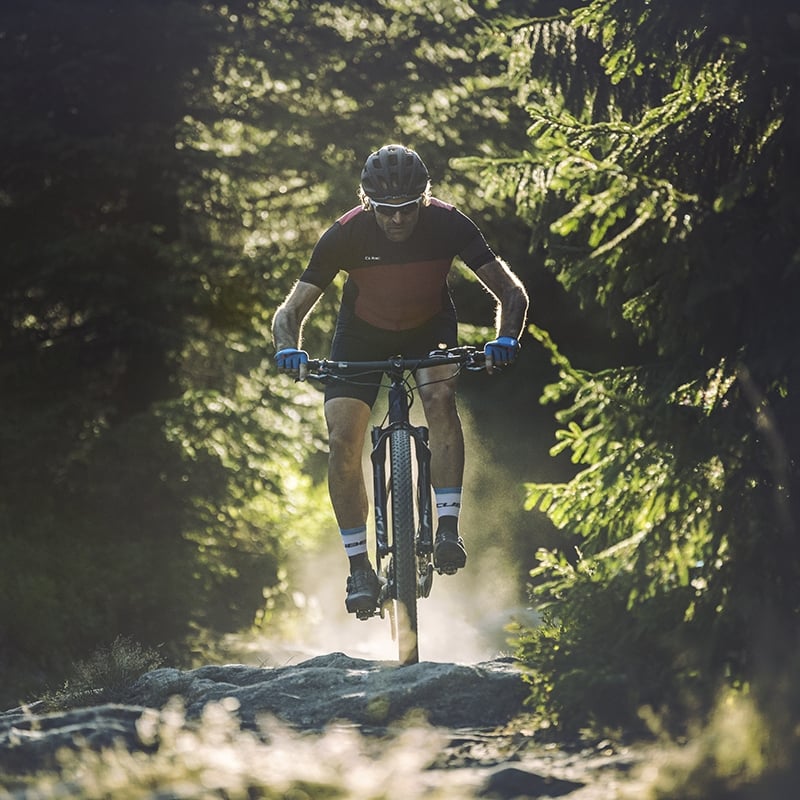 Radfahrer auf Cube Reaction Mountainbike im Wald, ideal für anspruchsvolle Trails und Outdoor-Enthusiasten.