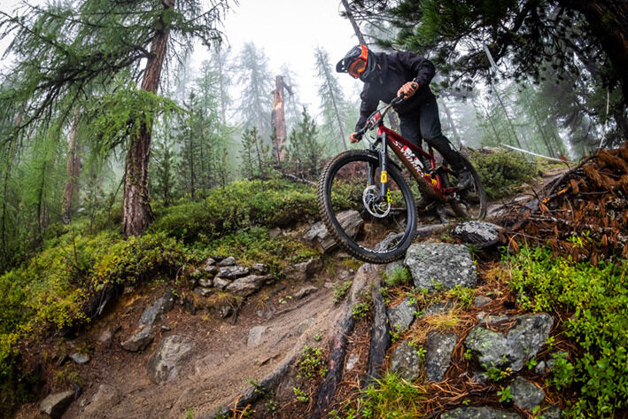 Mountainbiker auf Specialized-Bike fährt steinigen Waldweg bei Nebel hinunter, ideal für Offroad-Adventure-Enthusiasten.
