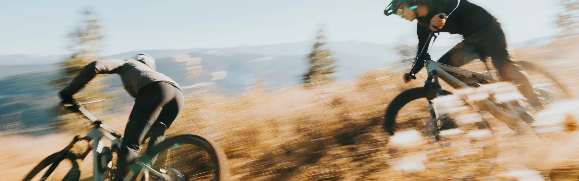 Specialized Mountainbikes kaufen und beraten bei Liquid-life.de