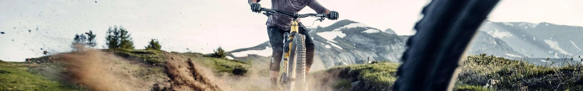 Specialized Turbo Kenevo kaufen bei Liquid-life.de