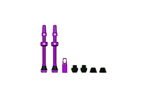 Lila Tubeless-Ventilset mit zwei Ventilen und vier Gummidichtungen für Fahrradreifen, geeignet für Mountainbikes.