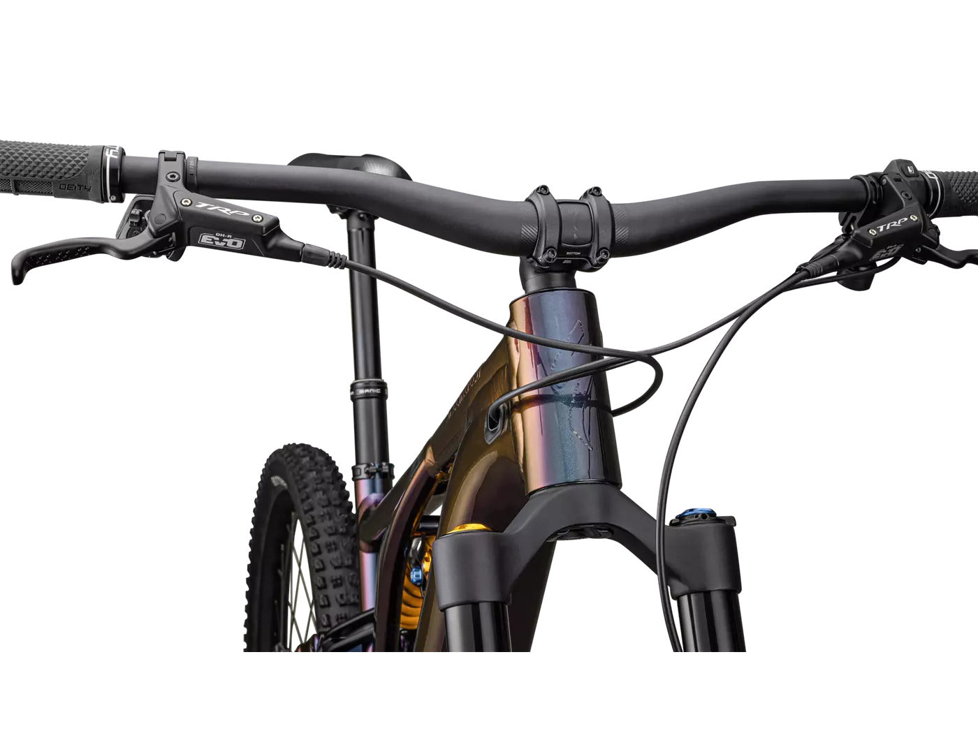 Specialized Levo Alloy Öhlins Coil LTD Chameleon 2024