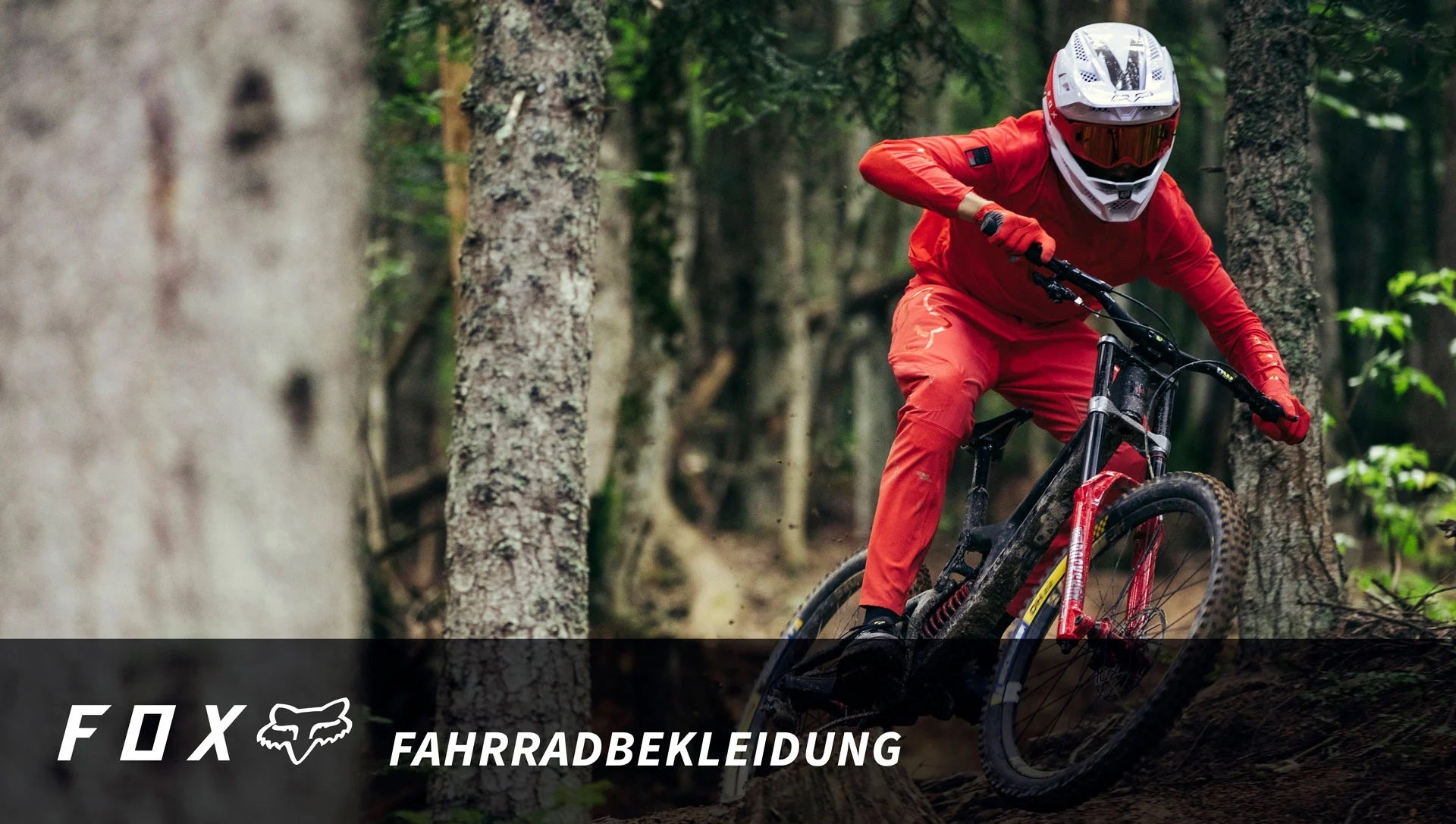 Mountainbiker in roter Fox-Fahrradbekleidung fährt durch Wald, trägt weißen Helm.