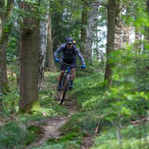Mountainbiker fährt auf schmalem Waldpfad. Produkt: Cube Stereo One22. Ideal für Offroad-Touren und Naturfreunde.