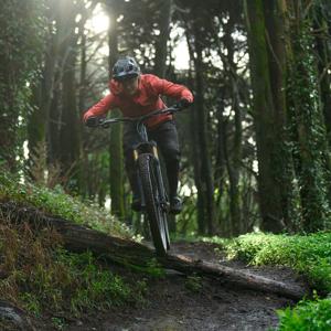 Mountainbike-Fahrer im Wald auf einem Cube Stereo One44, geeignet für Offroad-Touren. Ideal für Outdoor-Sportler.
