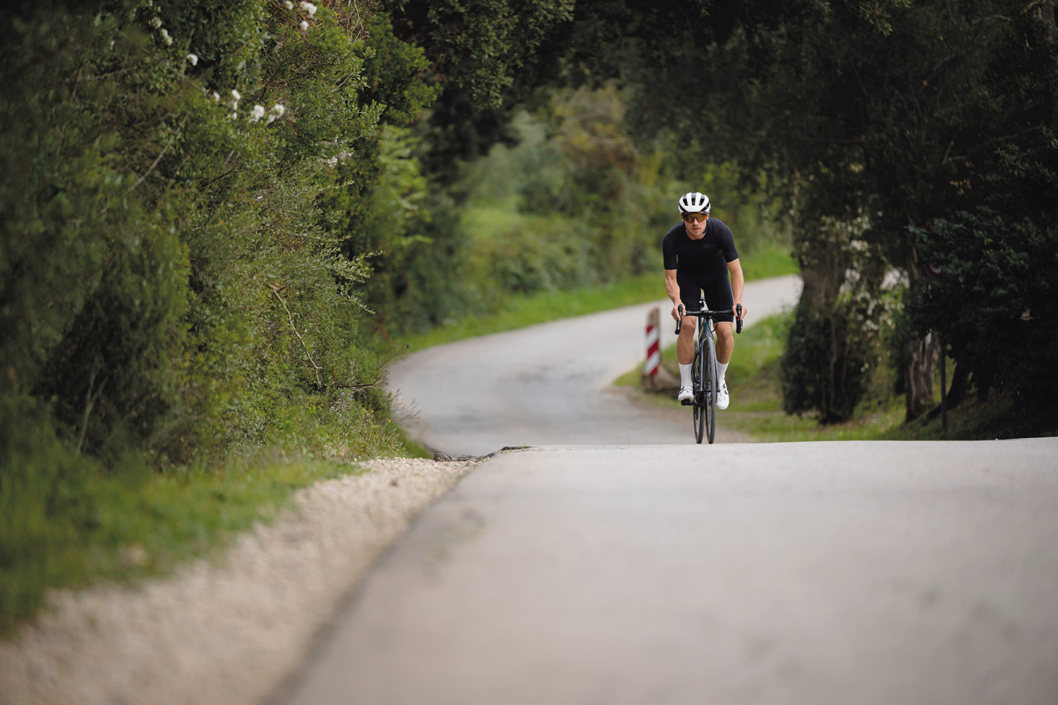 Radfahrer auf sonniger Landstraße, umgeben von Bäumen, in sportlicher Kleidung. Ideal für Radsport-Enthusiasten.