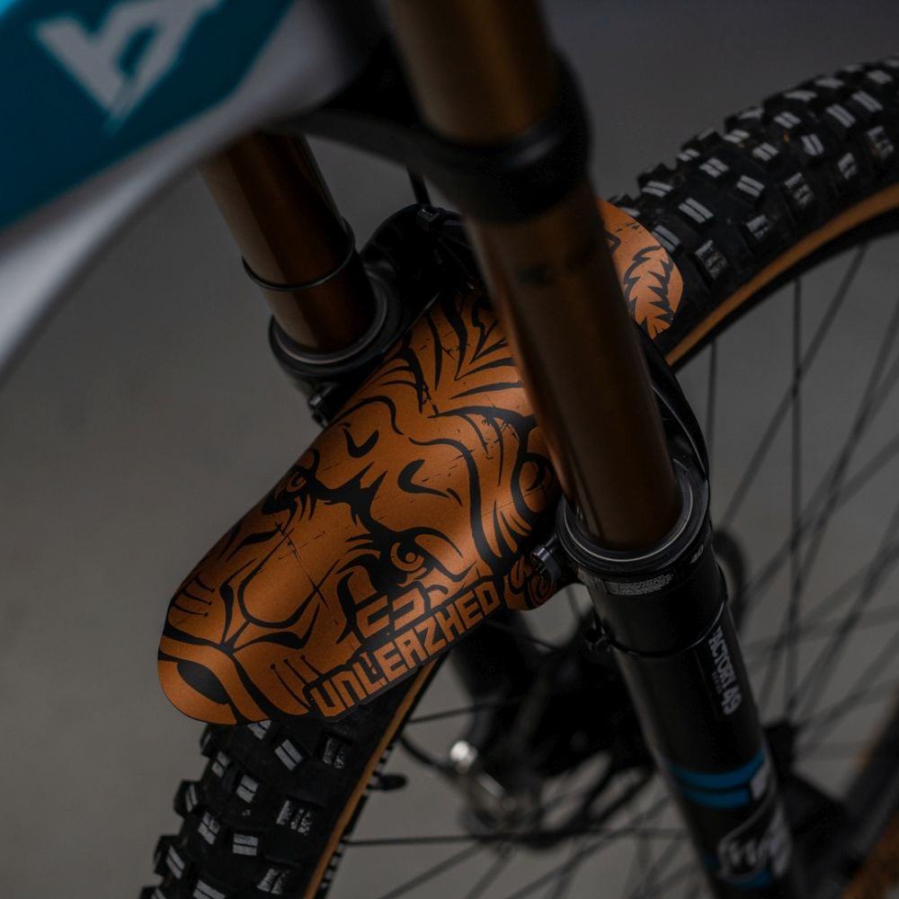 unleazhed unsplash M01 - Liquid-Life #Wähle Deine Farbe_Jack