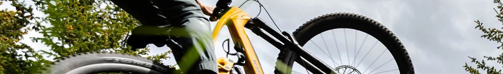 Trek Fuel EX