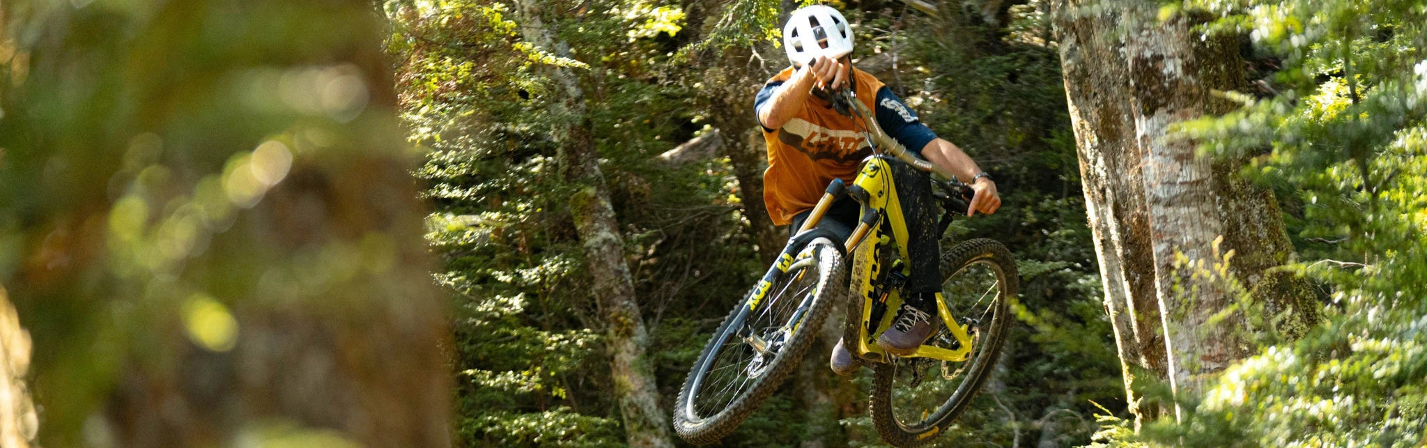 Pivot Firebird