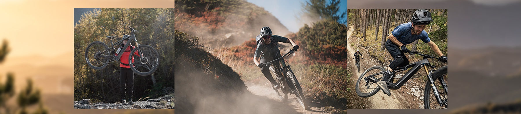 Light E-MTB
