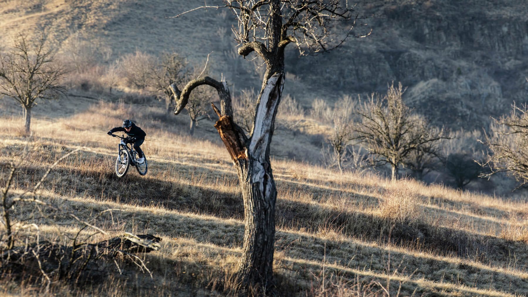 Mondraker Level