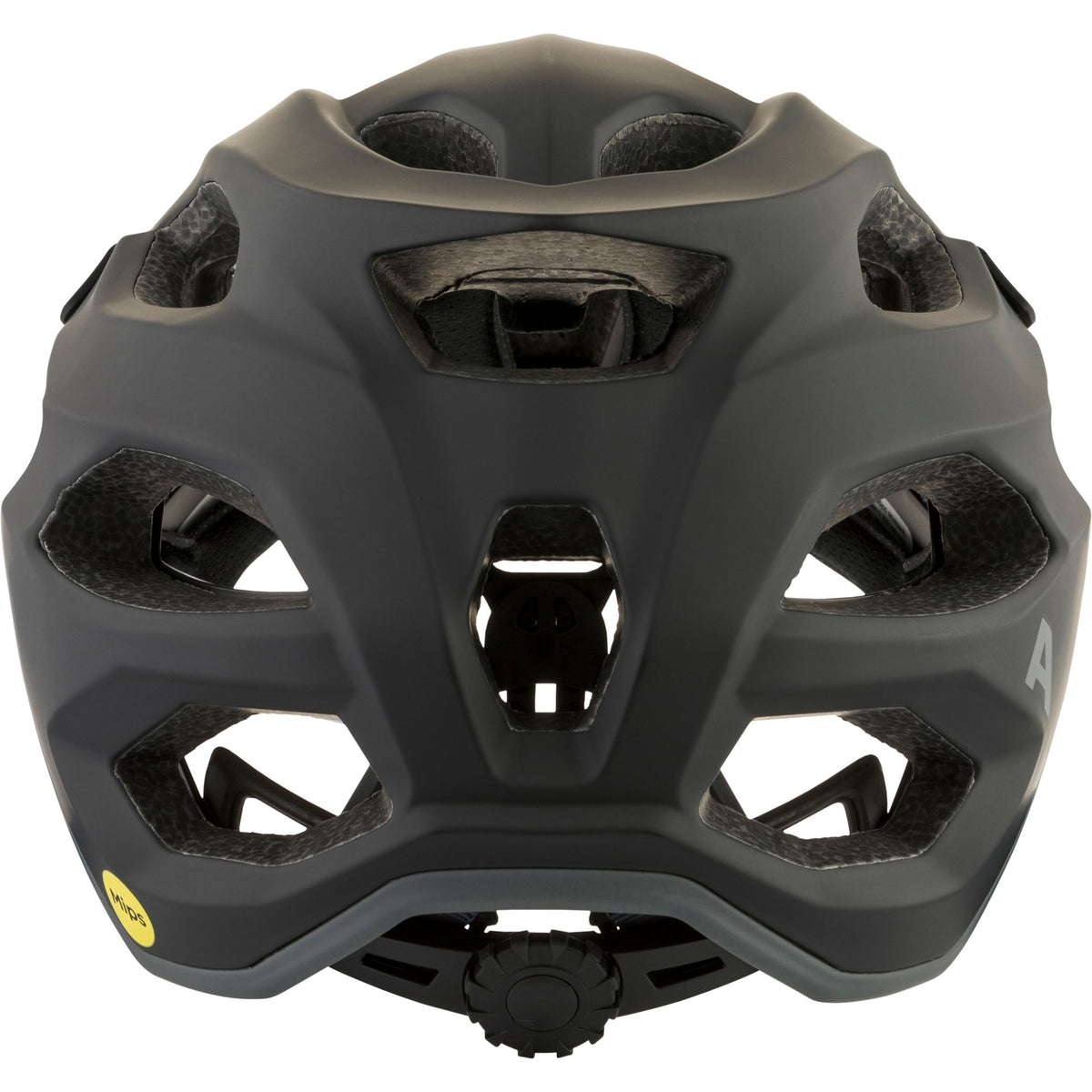 Alpina Apax Mips - Liquid-Life #Wähle Deine Farbe_black matt